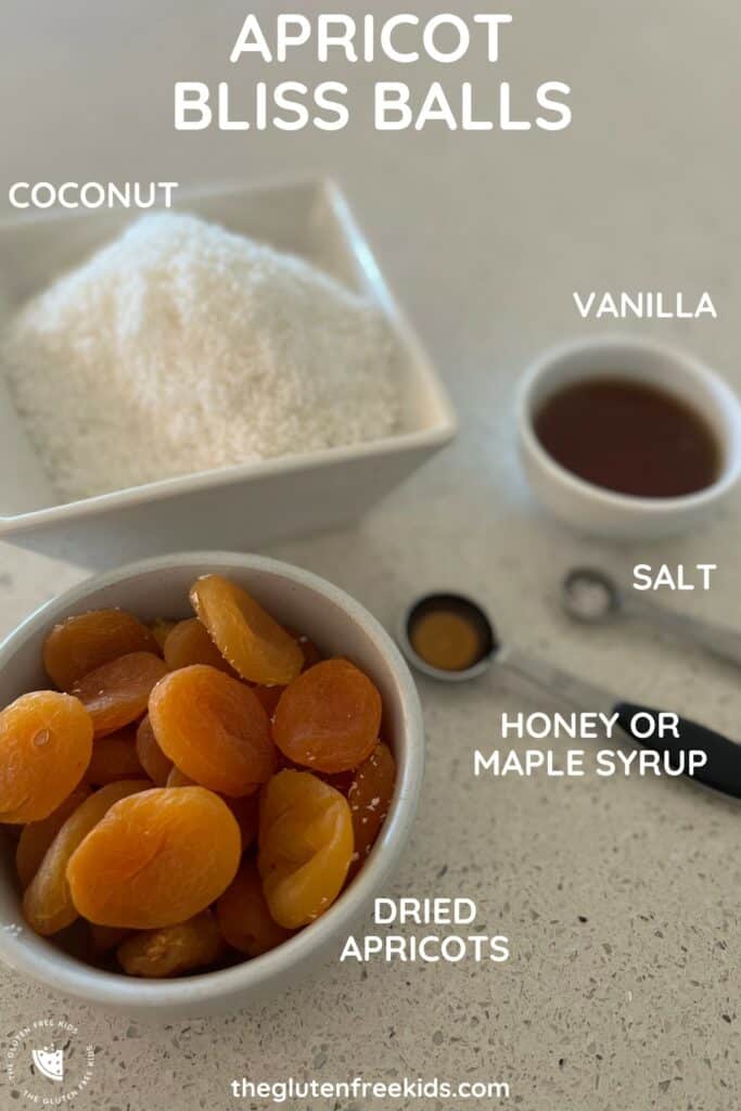 Ingredients to Make Apricot Bliss Balls