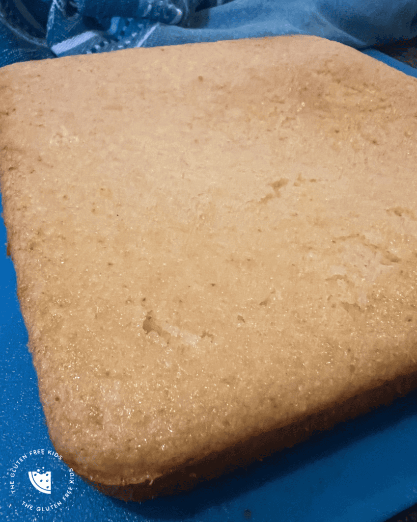 2 ingredient gluten-free cake without icing