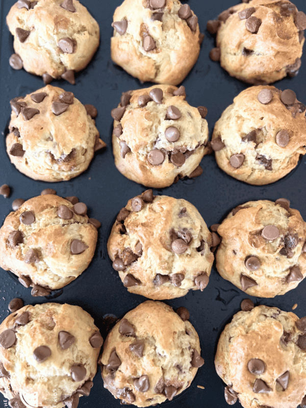 Gluten Free Chocolate Chip Muffins