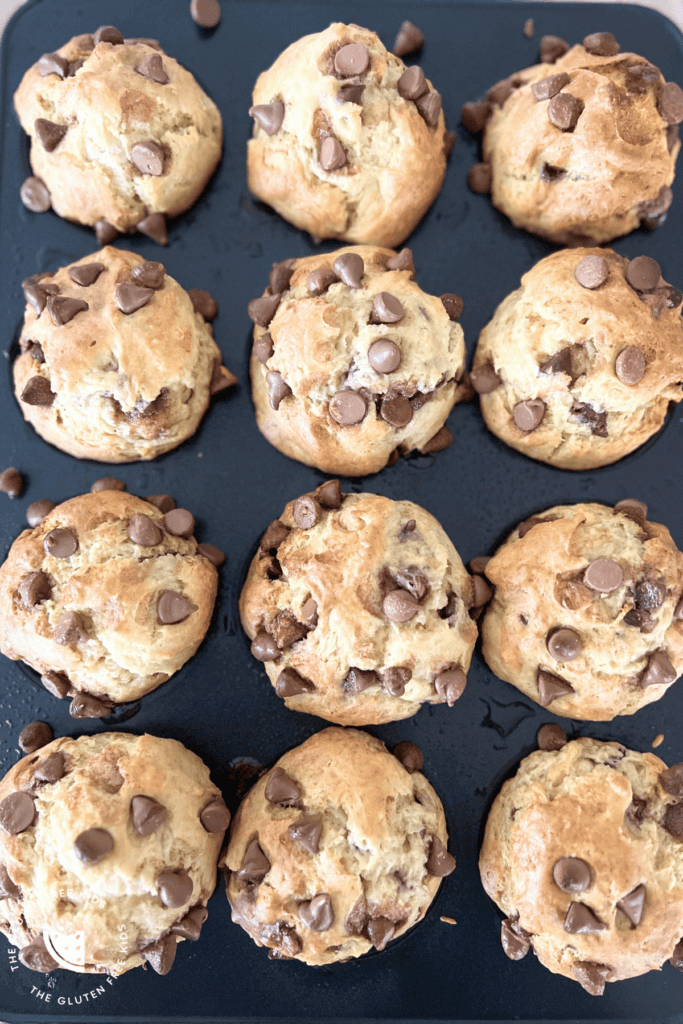 Gluten-free Chocolate Chip Muffins