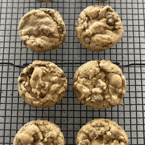 Easy Gluten-Free Chocolate Chip Cookie Recipe