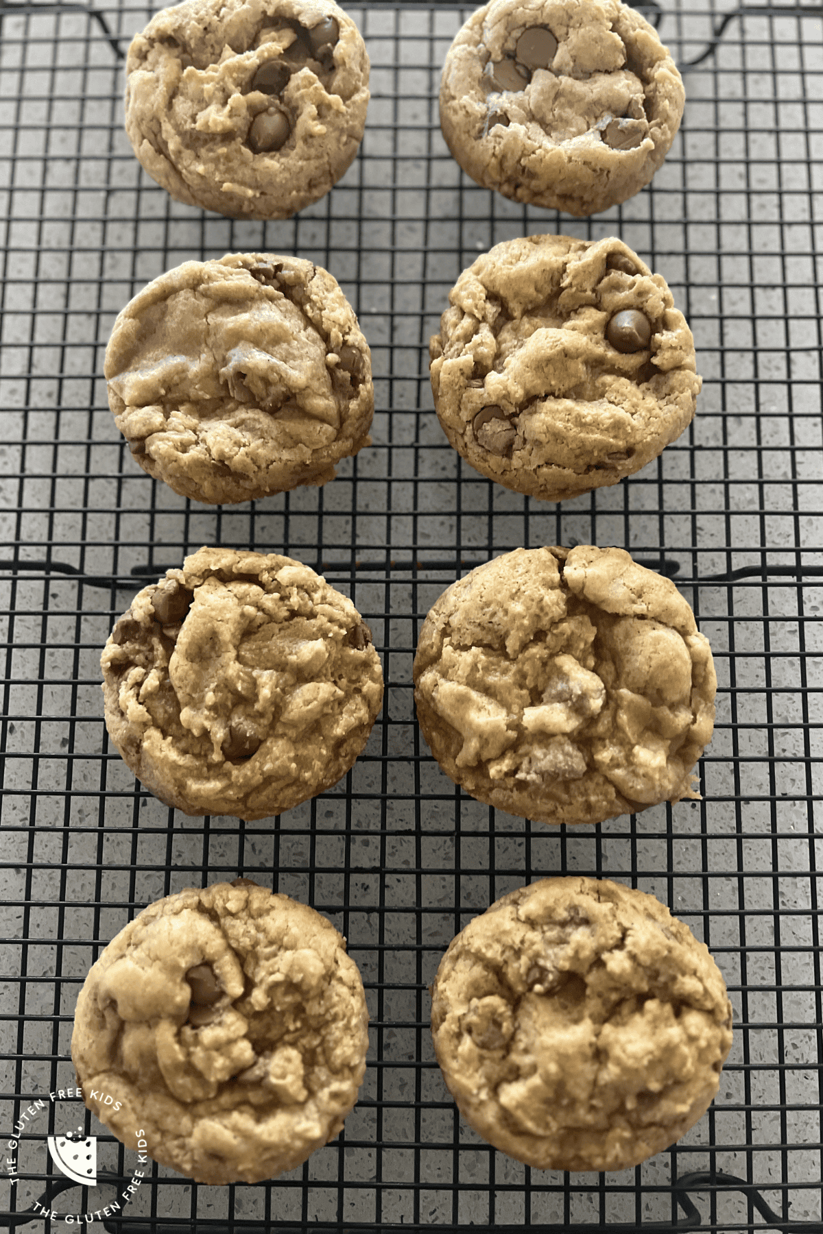 Easy Gluten-Free Chocolate Chip Cookie Recipe