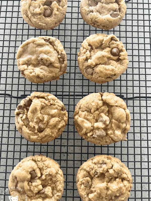 Easy Gluten-Free Choc Chip Cookies In A Hurry