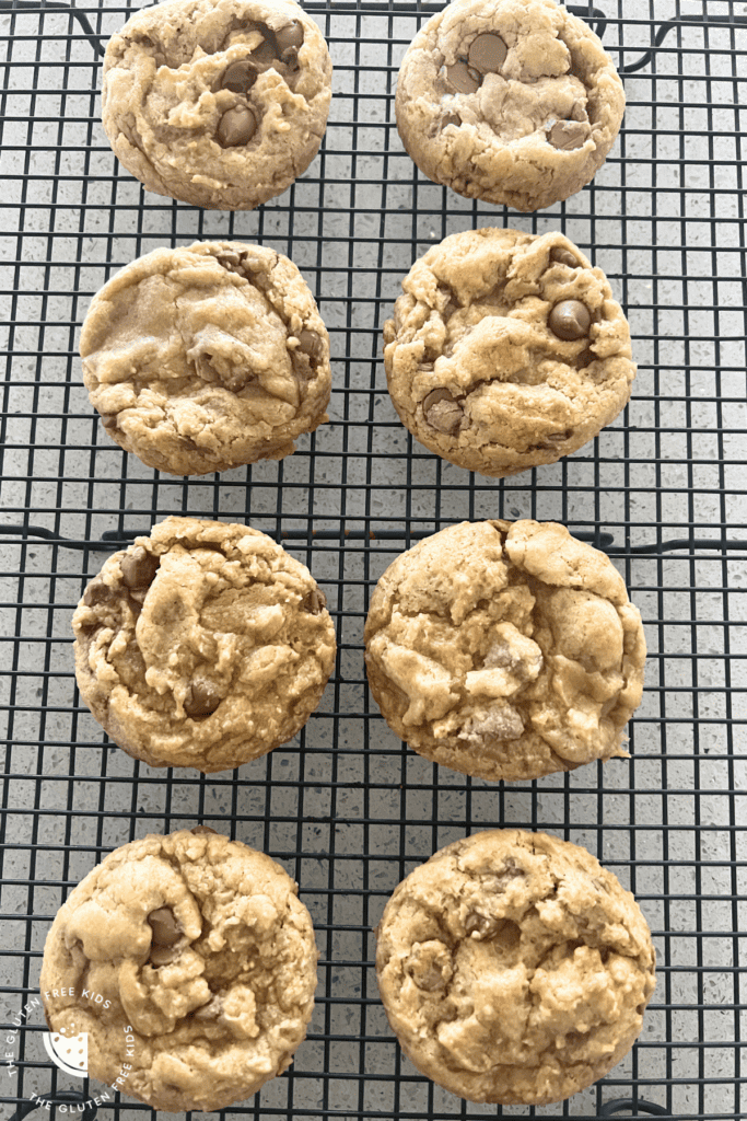 Easy Gluten-Free Choc Chip Cookies In A Hurry