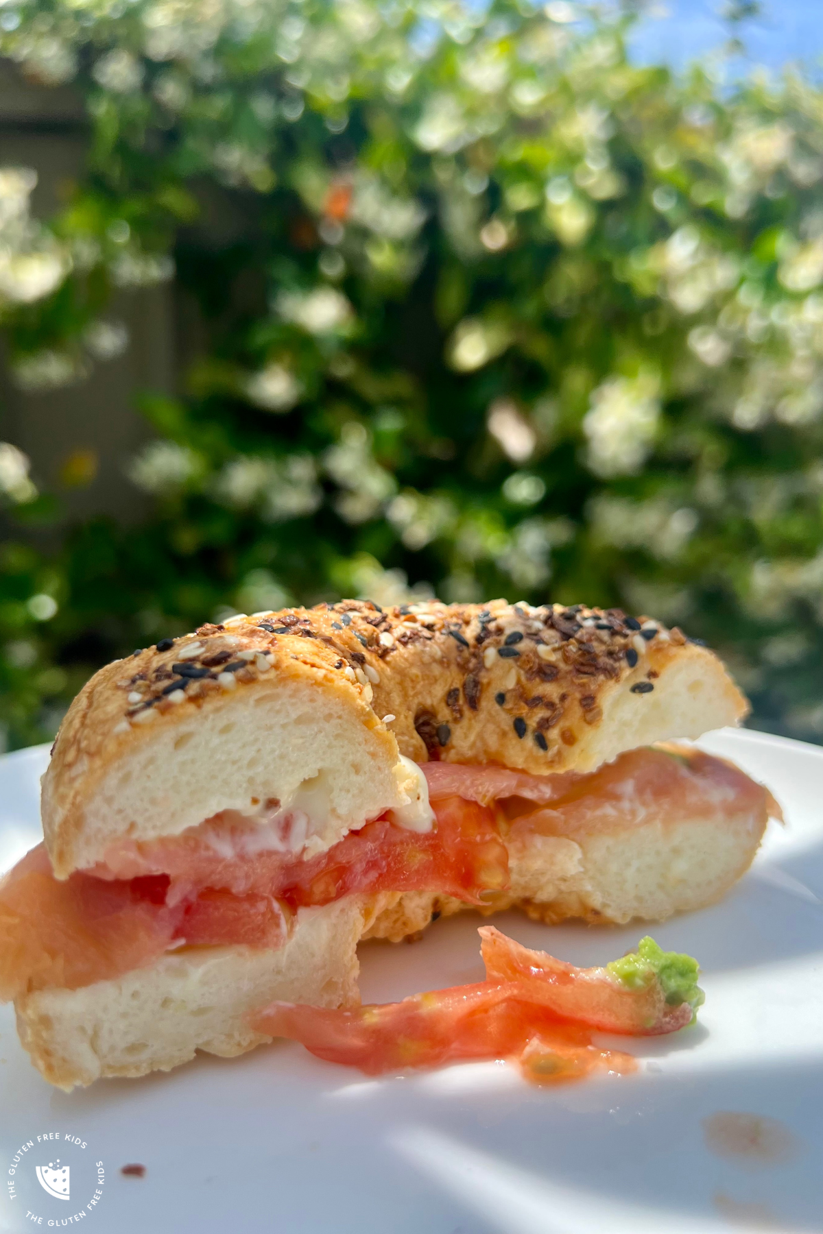 Air Fryer Bagels Gluten Free