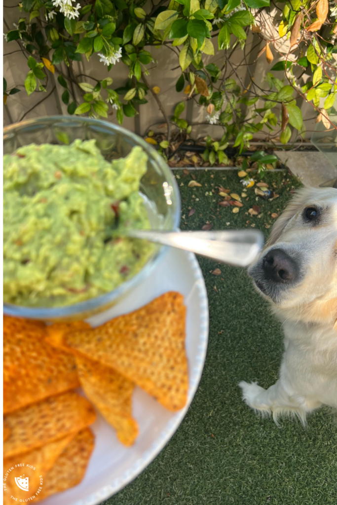 Guacamole and Daisy