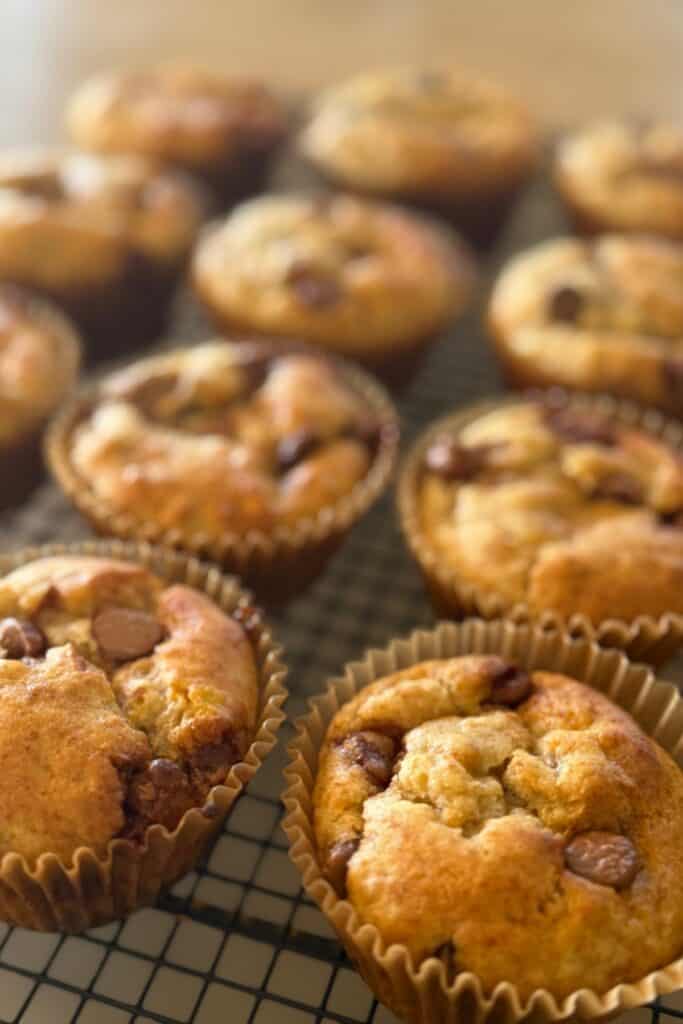 gluten free choc chip banana muffins