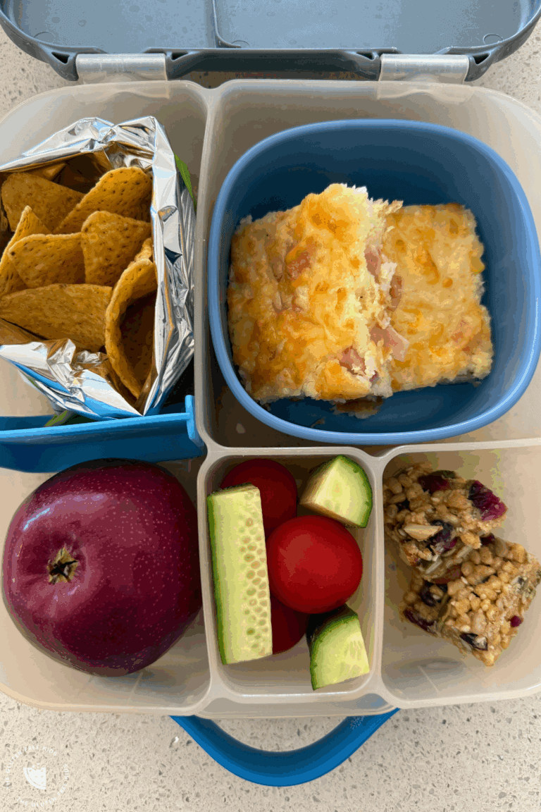 Gluten-Free Lunchbox ideas ham cheese rice slice