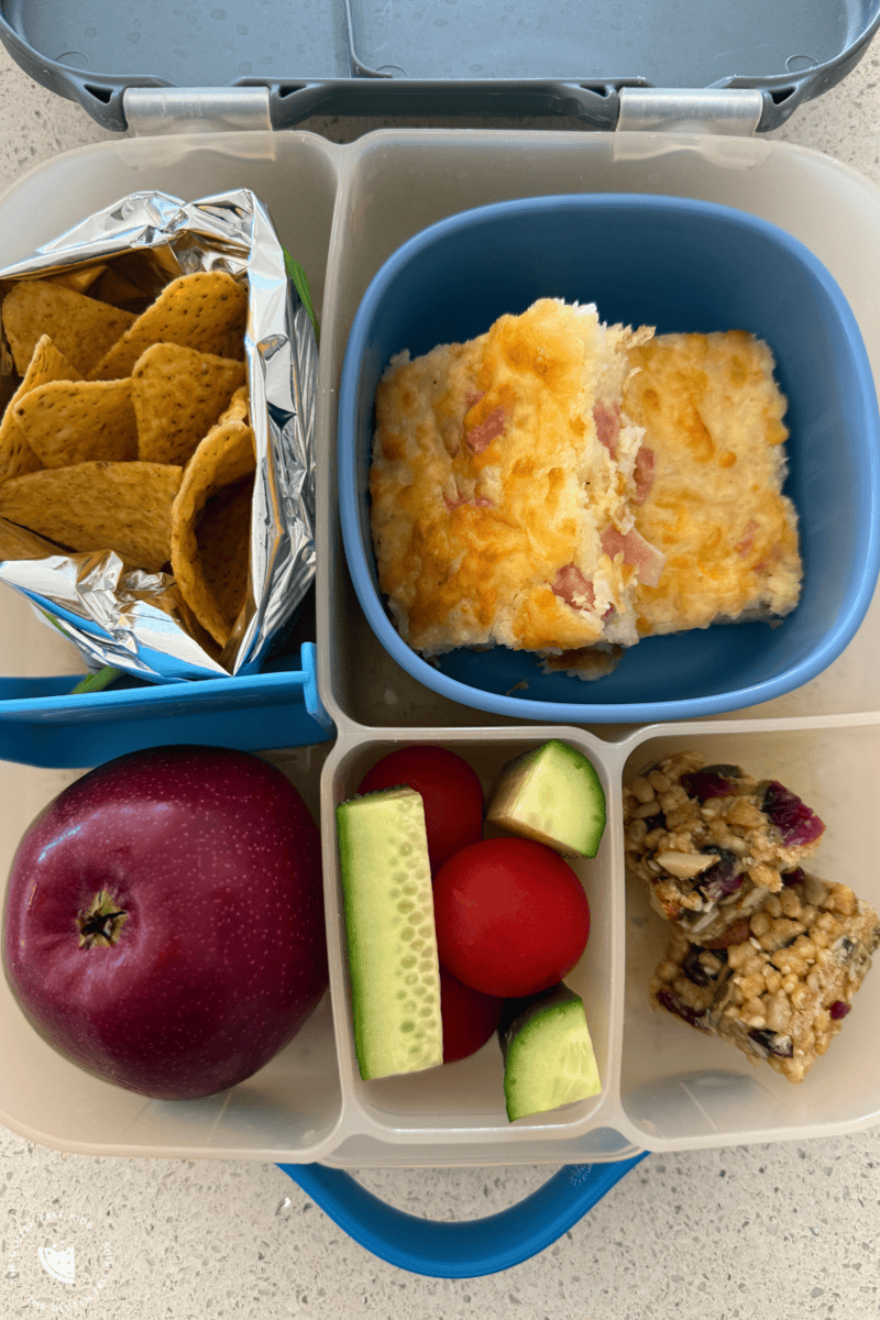 Gluten-Free Lunchbox ideas ham cheese rice slice