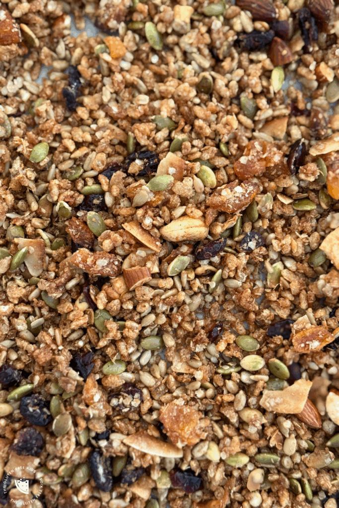 Gluten-free Toasted Muesli Without Oats