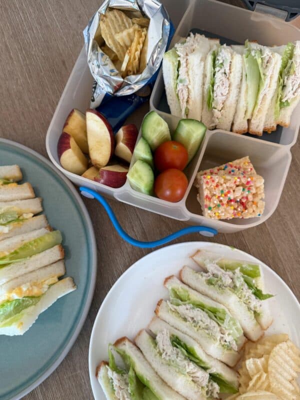 Chicken Salad Sandwich Filling Recipe (Gluten-Free, Nut-Free)
