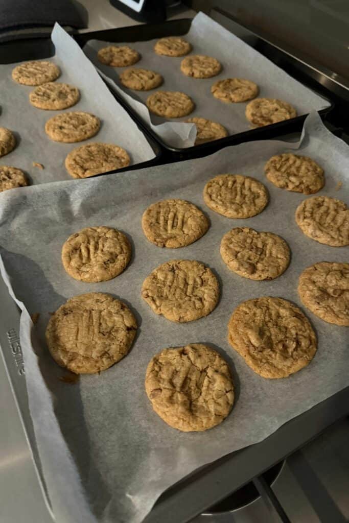 Gluten-Free Egg-Free Chocolate Chip Cookies 12 small