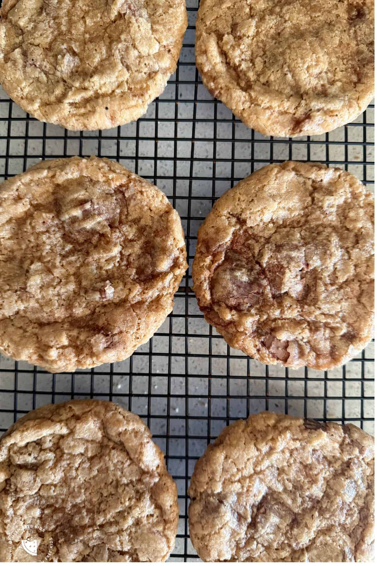 Gluten-Free Egg-Free Chocolate Chip Cookies 24