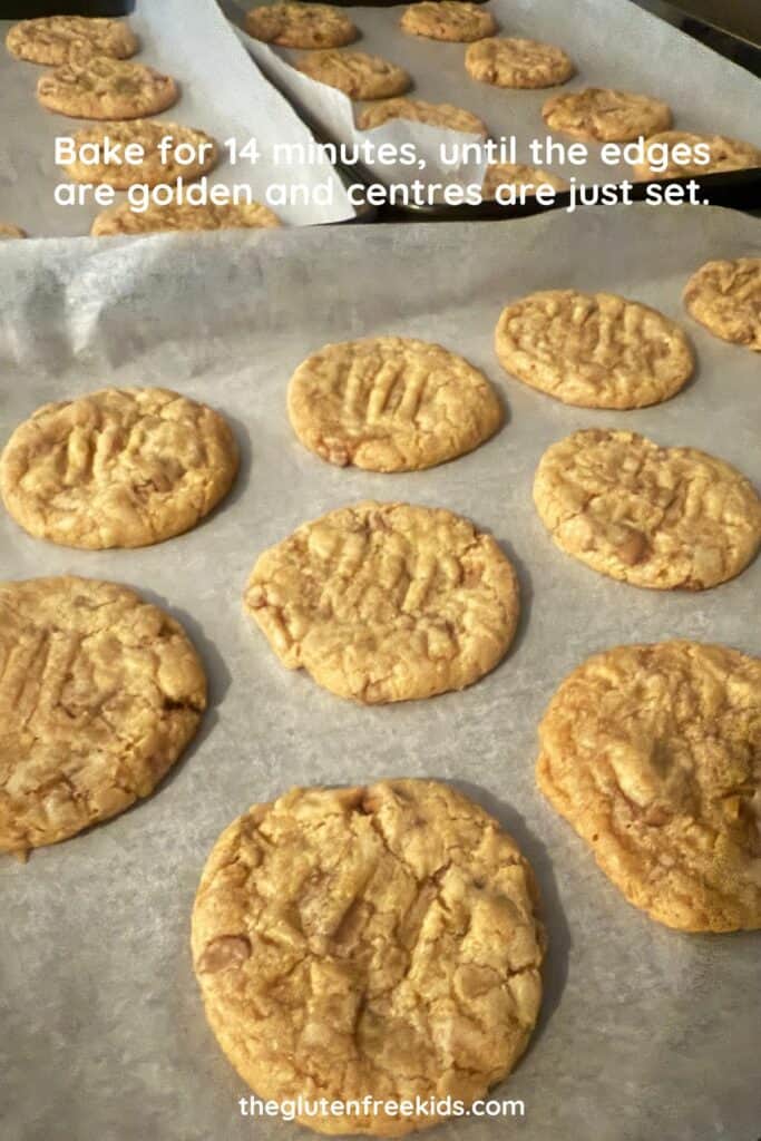 how to make glutenfree eggfree choc chip cookies 5