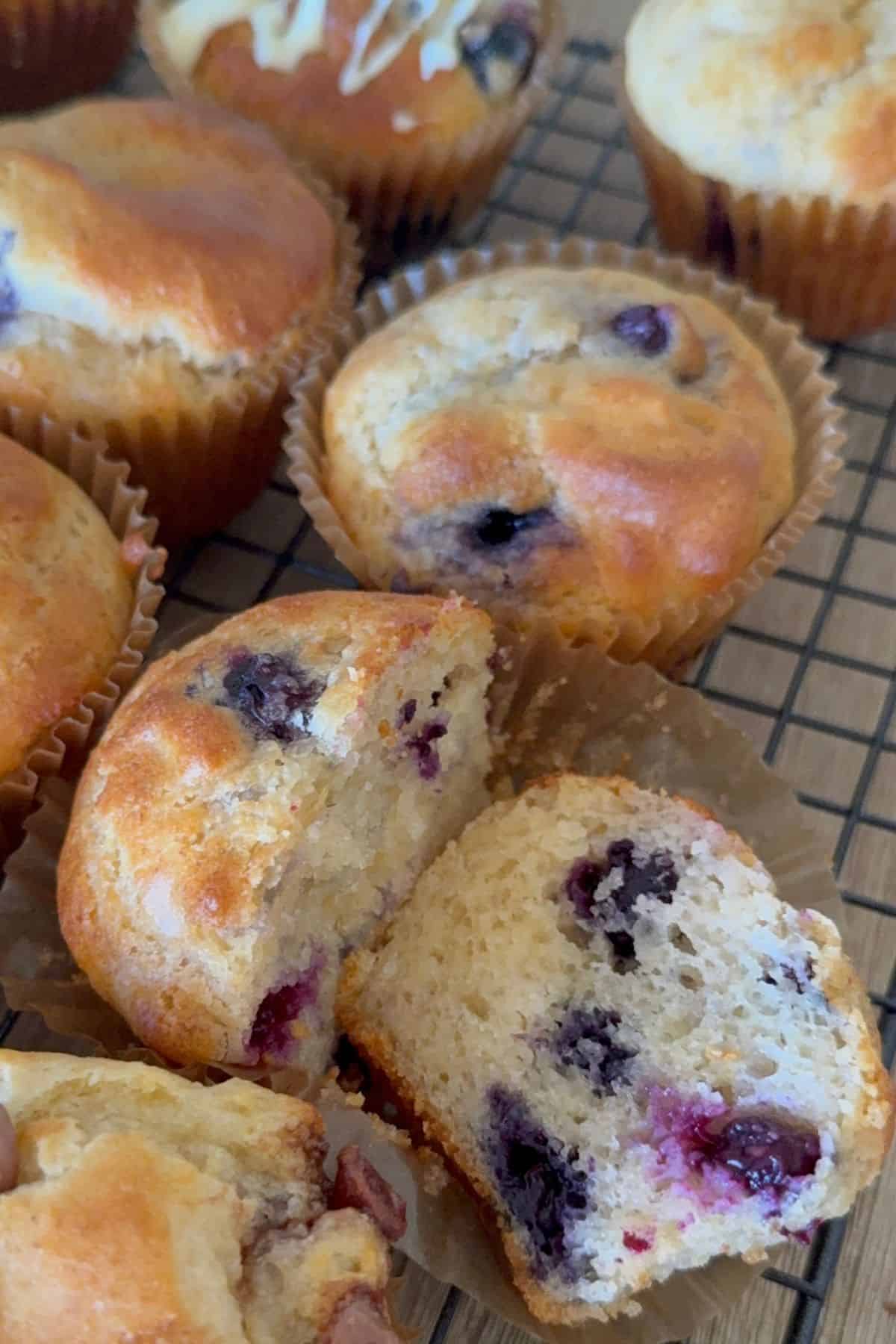 Blueberry Gluten-Free Muffin Recipe