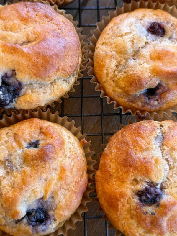 Gluten-Free Blueberry Muffins