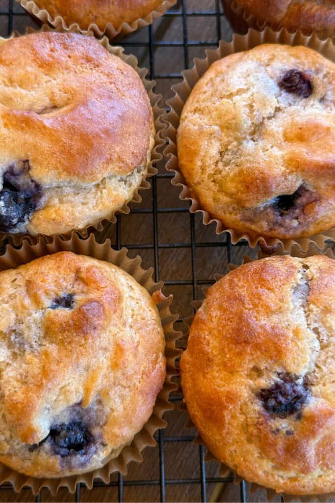 Gluten Free Blueberry Muffins Recipe