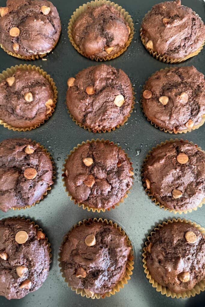 gluten-free chocolate chocolate chip muffin recipe