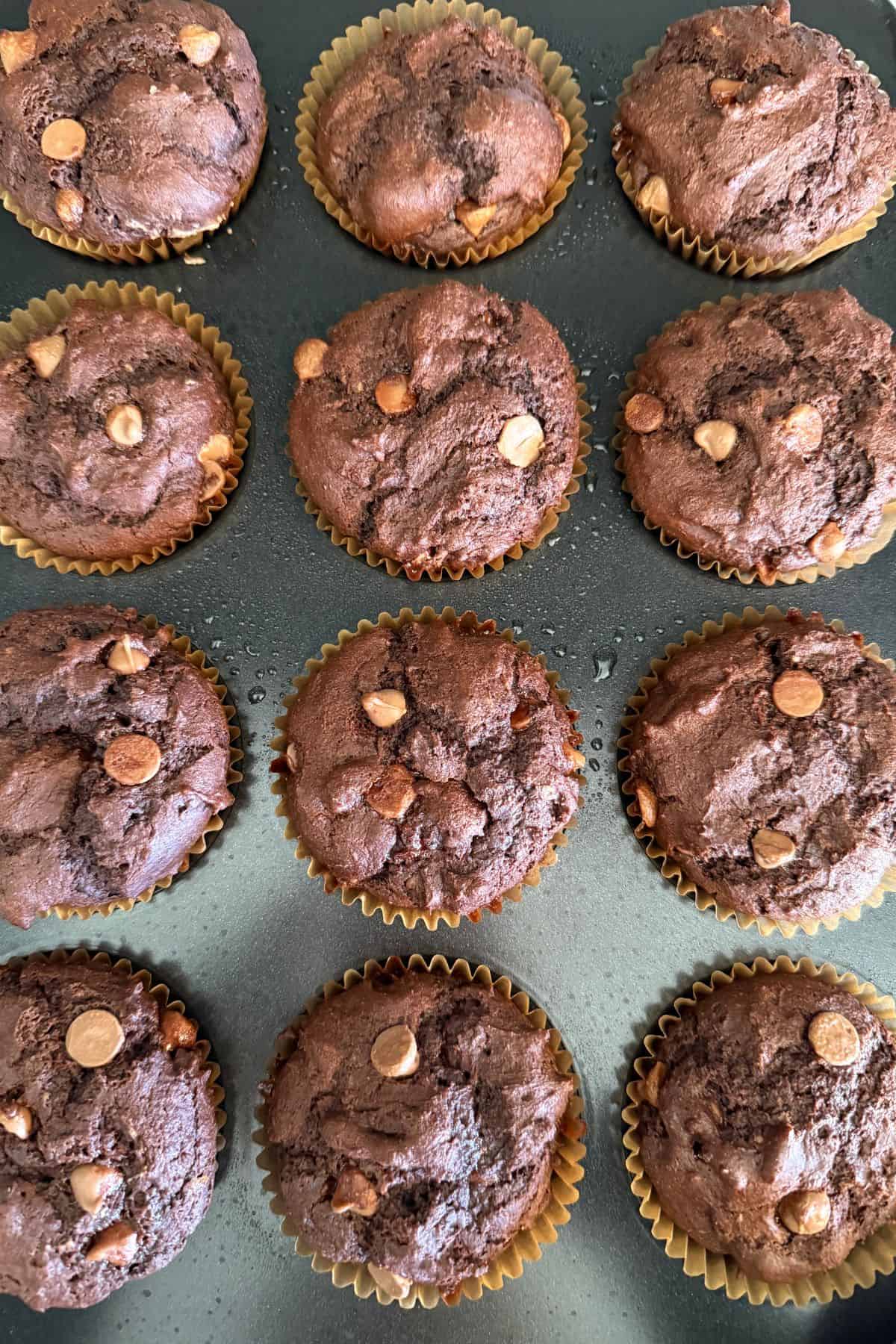 gluten-free chocolate chocolate chip muffin recipe