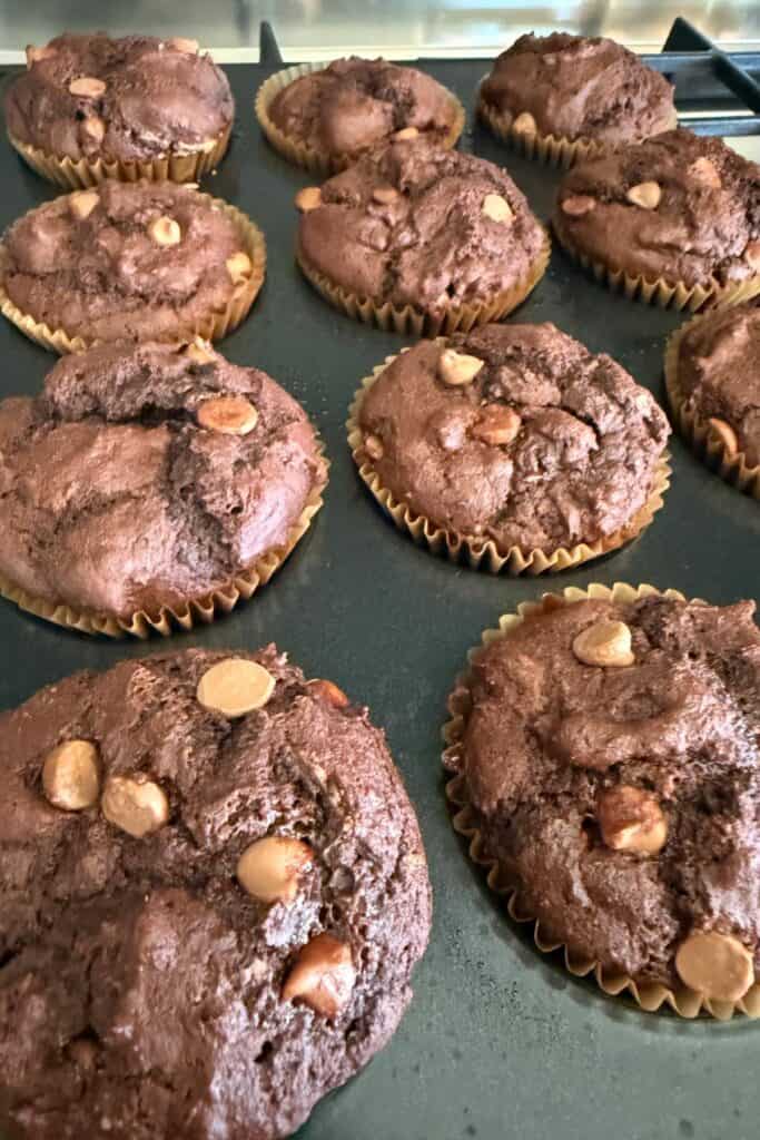 gluten-free double chocolate chip muffins