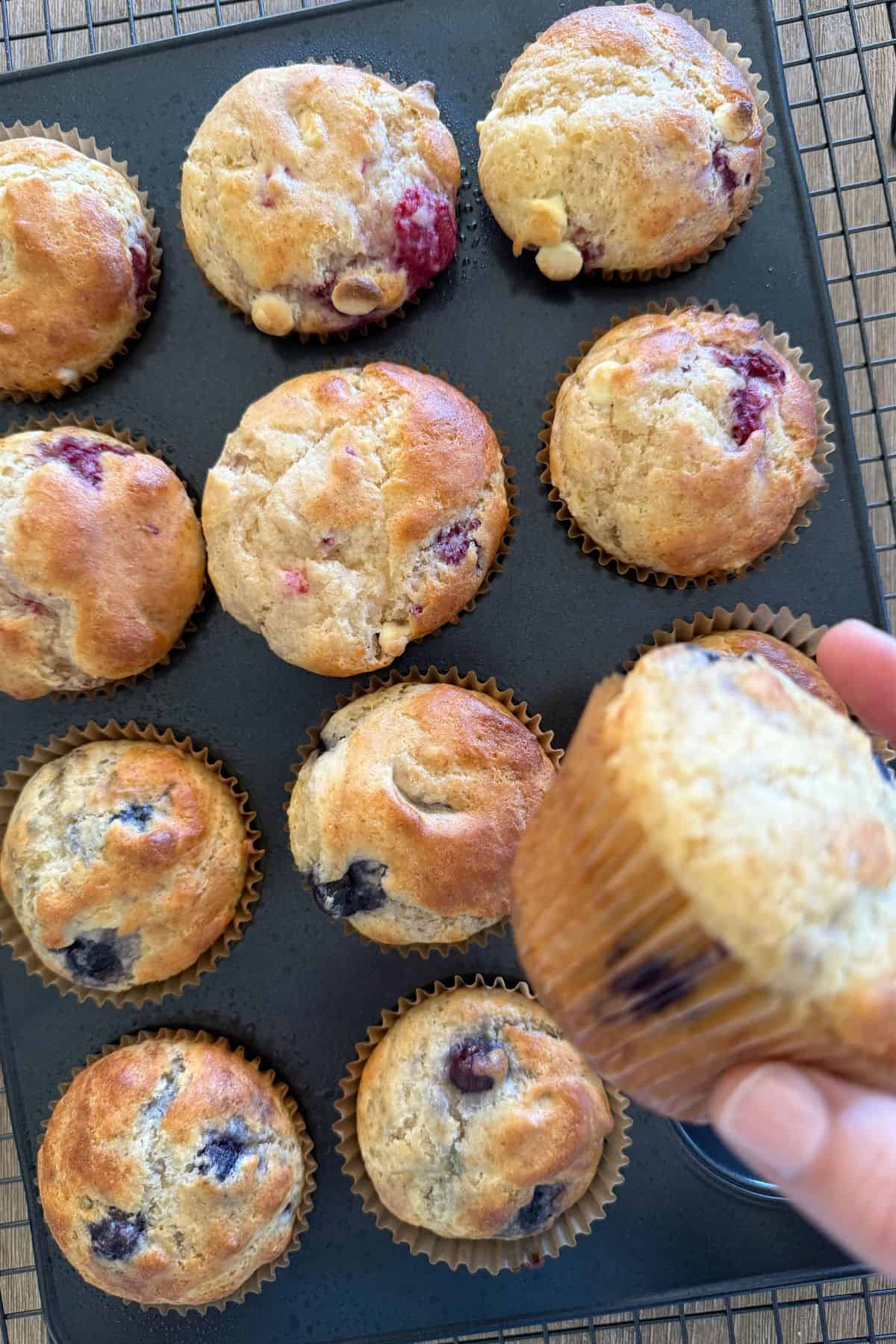 gluten-free muffin recipe base