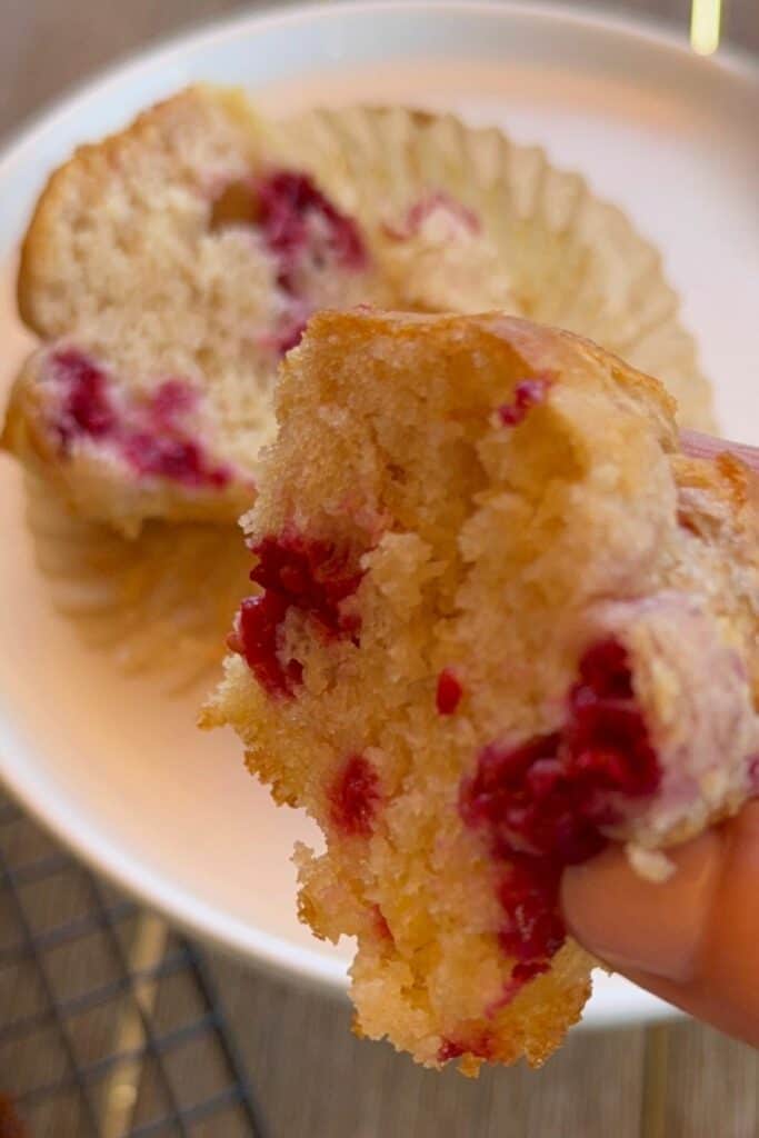 soft fluffy gluten-free muffin recipe