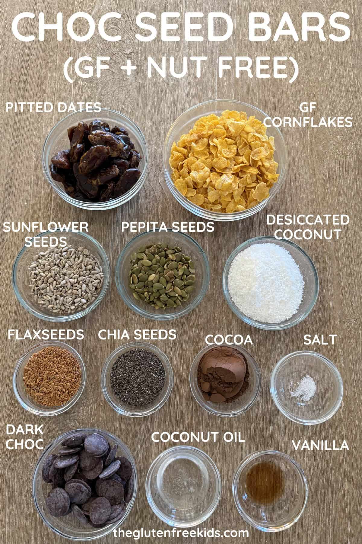 Chocolate Seed Bars Gluten-Free Nut-Free