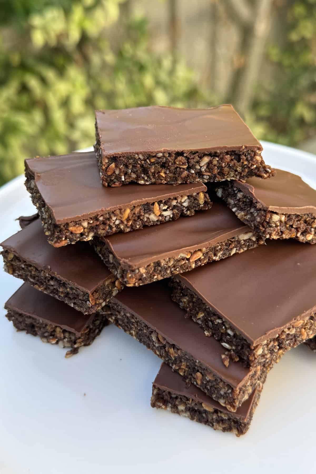 Chocolate Seed Bars gluten free and nut free