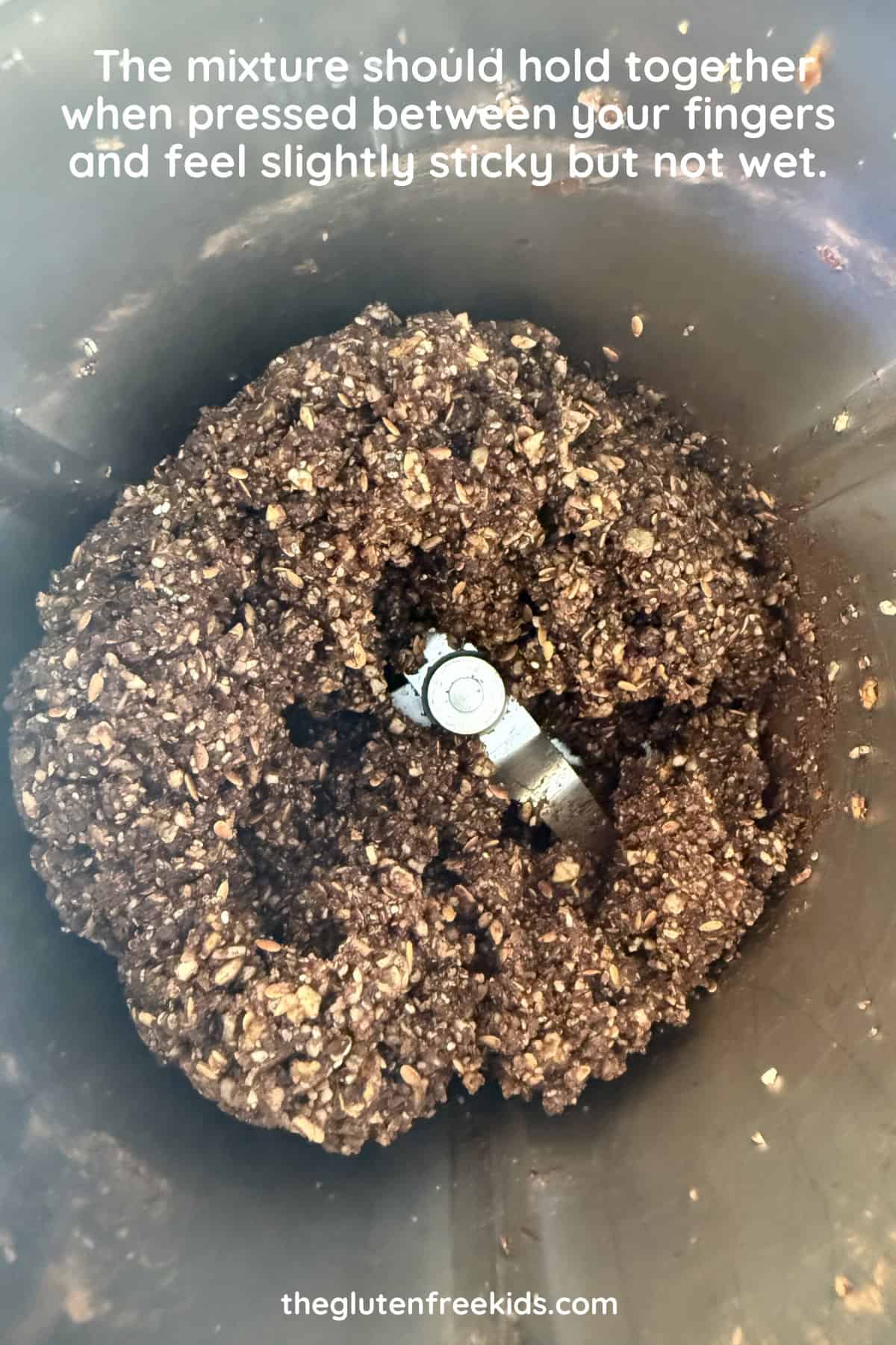 Chocolate Seed Bars texture